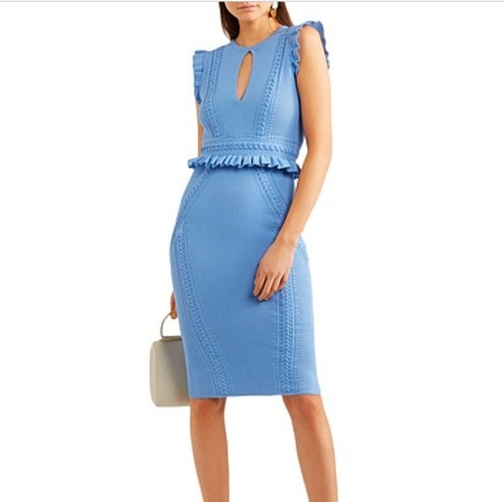 NWOT Rebecca Vallance majorca pointelle-knit dress
